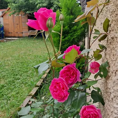 Brand New With Garden, Easy Access To Paris Sartrouville